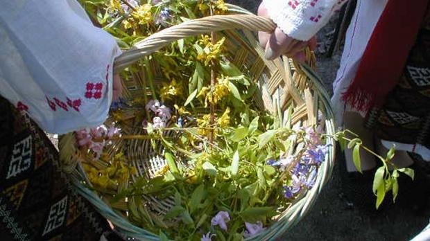 Pregătiri de FLORII. Secretul preparatelor din pește pe care toate gospodinele trebuie să-l știe