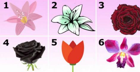 Test! Ești un crin, un trandafir sau o orhidee gingașă? Alege o floare şi vei afla ce secrete ascunde personalitatea ta!