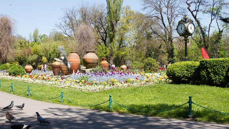 30 martie, Ziua Internațională a plimbării în parc. Unde te plimbi în București