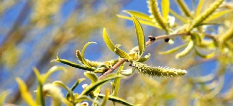 Prognoza meteo de Florii. Surpriza neplăcută, pregătită de vreme!