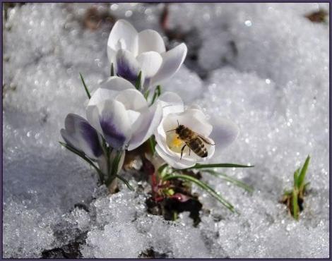 PROGNOZA METEO pentru următoarele DOUĂ SĂPTĂMÂNI: Vine primăvara sau e necesar să rezistăm temperaturilor scăzute și iernii geroase?