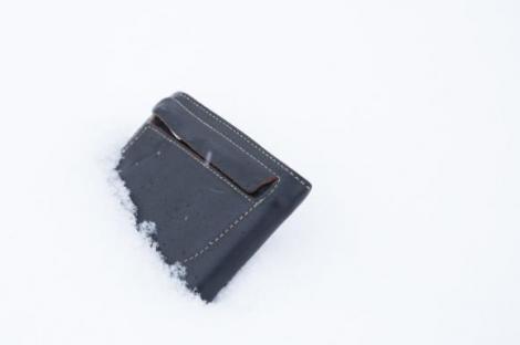 Zăpada a lăsat în urmă... bani! Un portofel plin cu bancnote a fost găsit după topirea zăpezii