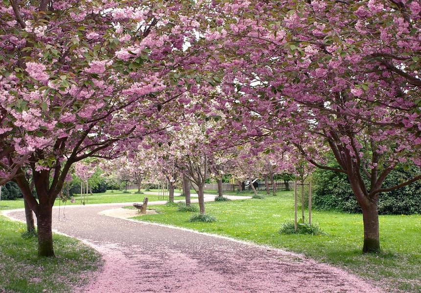 De Paște, am avut vreme de (primă)vară, dar &bdquo;minunea&rdquo; nu va dura prea mult! Vin ploile!