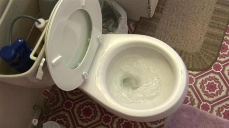 O femeie a aruncat restul de oțet în vasul de toaletă, dar în scurt timp a avut parte de o surpriză uriașă! Ce s-a întâmplat