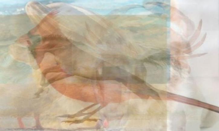 Test de personalitate. Privește imaginea, ce animal distingi pentru prima oară? Cal, delfin, urs sau cățeluș?