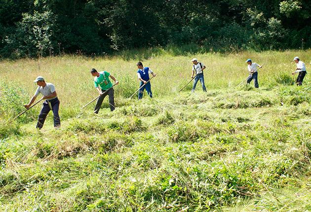 Vești bune pentru zilieri! Aceștia ar putea să c&acirc;știge mai mult dec&acirc;t angajații, după ce noua lege a fost promulgată