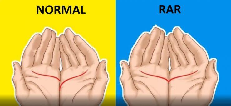 TEST: Apropie-ți m&acirc;inile și vei afla imediat! Liniile din palmă &icirc;ți spun c&acirc;nd te vei căsători