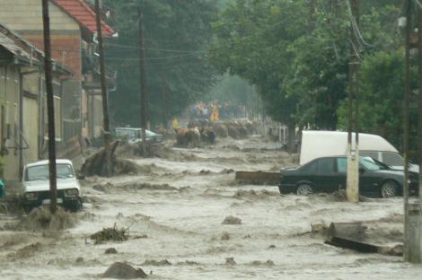 Ne așteaptă ce-i mai rău! COD GALBEN: Dunărea va inunda România. Ce județe vor fi afectate