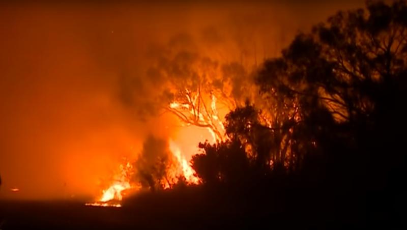 Incendiu uriaș, la un pas de a distruge cel mai mare oraş din Australia. 2500 de hectare ard! Sute de pompierii se luptă cu flăcările