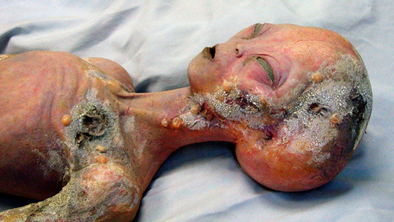 "Extratereştrii există, pot fi pretutindeni &icirc;n jurul nostru. Au silueta unei făpturi familiare!" O nouă teorie zguduie lumea din temelii