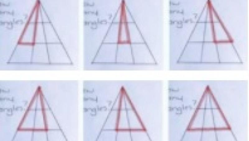Testul care a pus pe jar Internetul. Câte triunghiuri sunt în imagine?