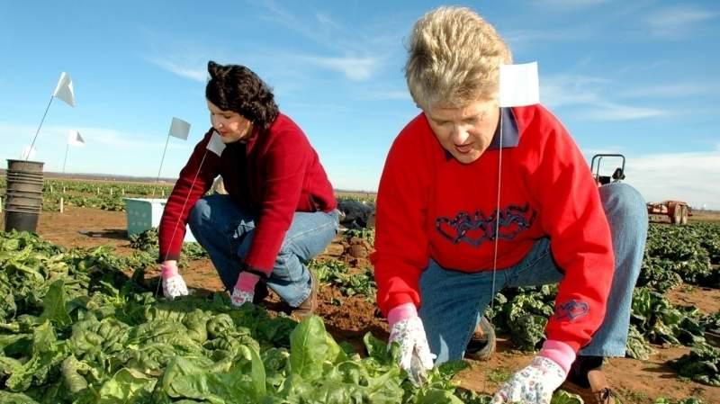 Cum &icirc;i impozitează statul pe rom&acirc;nii care lucrează &icirc;n străinătate. Trebuie să ajungă de urgență la ANAF: "Sunt obligați să.."