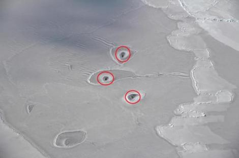 Trei găuri misterioase au fost observate de NASA în Oceanul Arctic. Cercetătorii sunt bulversaţi: "Nu am mai văzut aşa ceva"