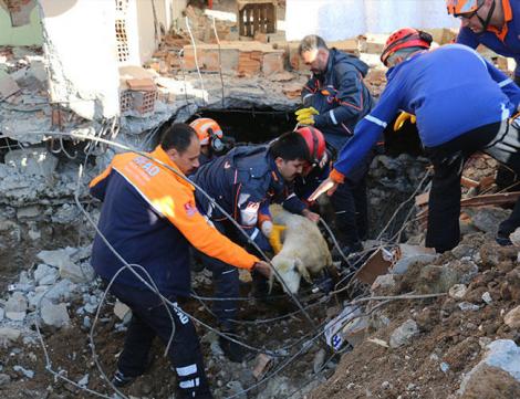 La un pas de dezastru! Turcia, lovită de un cutremur de 5.2 pe scara Richter. Opt replici și aproape 40 de victime
