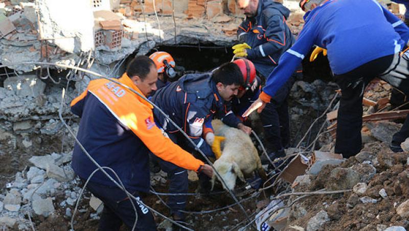 La un pas de dezastru! Turcia, lovită de un cutremur de 5.2 pe scara Richter. Opt replici și aproape 40 de victime