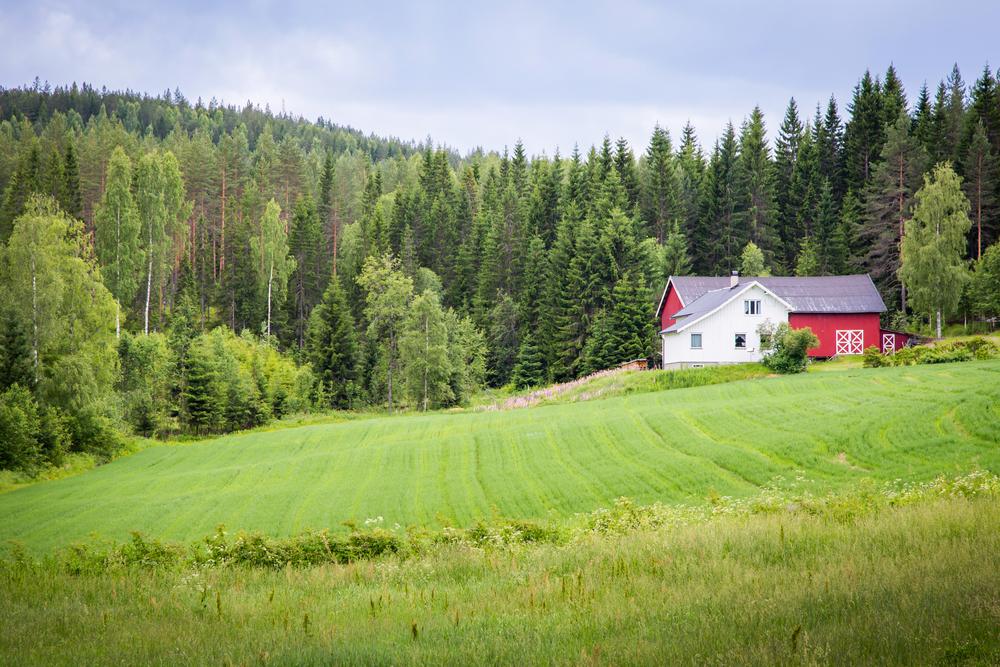 Cum să locuiești &icirc;ntr-o casă independentă energetic. Trei soluții ca să nu mai depinzi de rețelele naționale