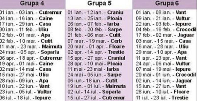 N-ai văzut așa ceva &icirc;n viața ta! E testul care-ți spune TOTUL despre tine. Tot ce trebuie să faci e să alegi!