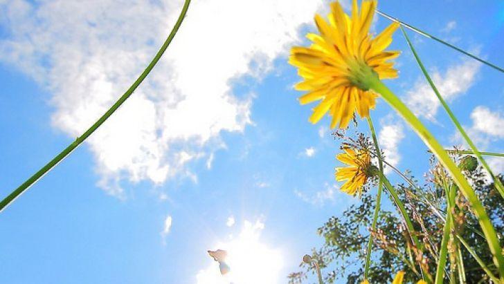 Vreme deosebit de caldă de 1 Mai! Meteorologii anunță temperaturi de aproape 30 de grade Celsius