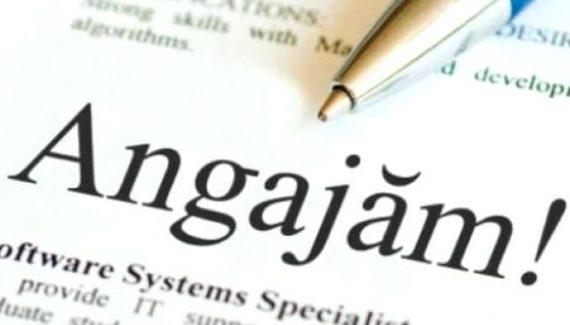 Anunțul de angajare care i-a pus pe rom&acirc;ni pe jar. Salariu de 13.800 de lei pe lună. Ce posturi sunt disponibile chiar acum!