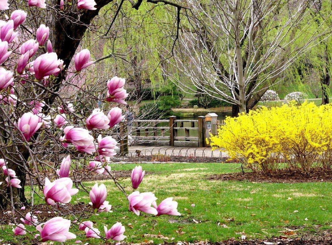 Vremea de Paşte: Cum va fi &icirc;n Noaptea de &Icirc;nviere &icirc;n Bucureşti şi &icirc;n ţară. Luni va fi cea mai frumoasă zi din această perioadă. Unde vor fi temperaturi chiar și de 25 de grade