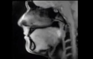 Ce se &icirc;nt&acirc;mplă &icirc;n gură c&acirc;nd vorbim ori c&acirc;ntăm! Noua tehnologie care arată ce se &icirc;nt&acirc;mplă, cu adevărat, &icirc;n interiorul corpului