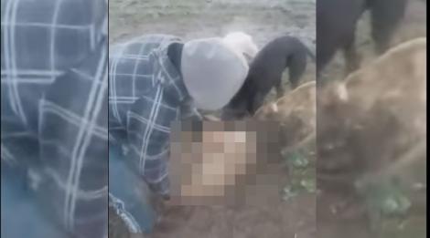 Imagini șocante! Bărbat, arestat, după ce s-a filmat în timp ce ucide o căprioară cu mâinile goale. A pus câinii să o sfâșie