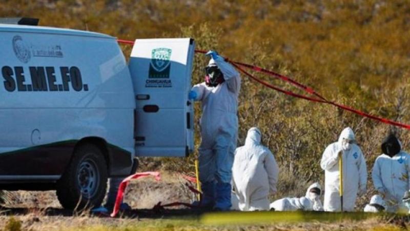 Descoperire terifiantă! Trei adulţi şi patru copii, găsiți morți: "Cinci corpuri erau &icirc;ntr-o clădire"