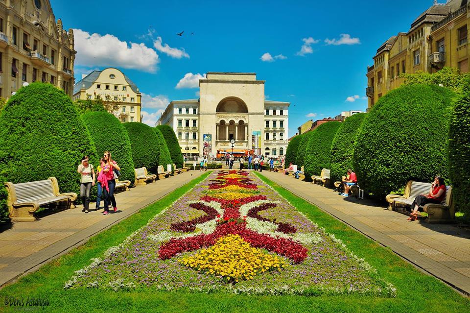 Descoperire uluitoare &icirc;ntr-o intersecție din Timișoara. Urmează două luni de cercetări