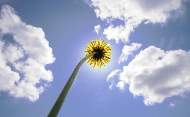 Vremea 4 mai. Prognoza meteo anunță ultima zi frumoasă din săptăm&acirc;nă