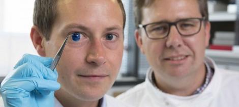 Premieră în medicina mondială! Ochi reconstruit din zahăr, descoperirea care ar putea ajuta milioane de oameni cu probleme de vedere