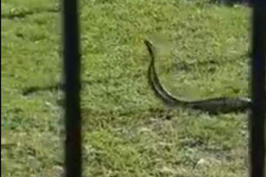 Imagini șocante surprinse &icirc;ntr-un loc de joacă din Calafat! Ce a observat un bărbat &icirc;n zona &icirc;n care se jucau copii e revoltător