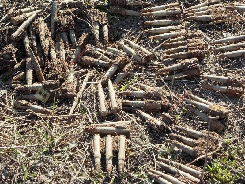 Descoperire uimitoare! Au fost găsite &icirc;n curtea unei grădinițe: "Erau rămășite. Au oprit imediat lucrările!"