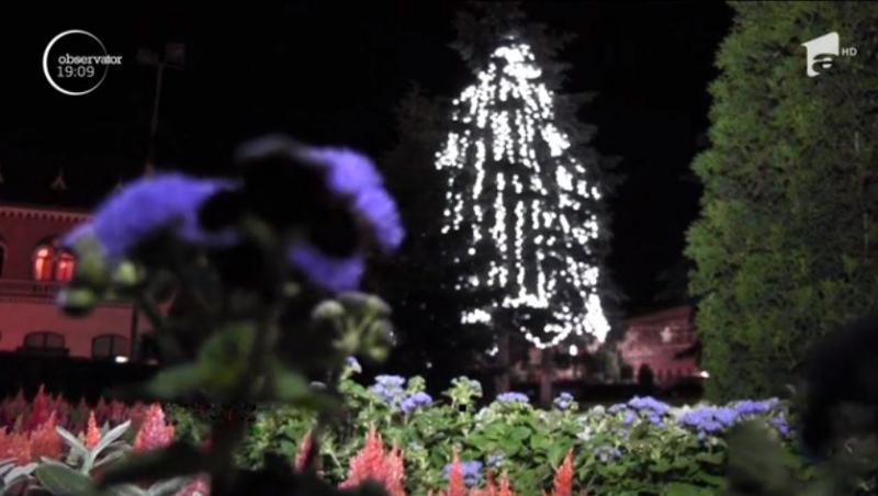 Locul din România unde vara e ca iarna! Mii de luminiţe s-au aprins în bradul din centrul oraşului, ca pentru Crăciun