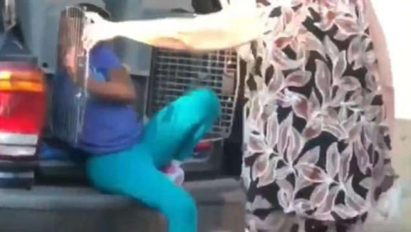 Imagini revoltătoare! O bunică, surprinsă în timp ce își transporta nepoții într-o cușcă pentru câini (VIDEO)