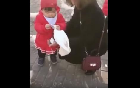 Când foamea și gelozia fac pereche: O fetiță îi fură mâncarea din cioc unui porumbel, după ce mama ei îl hrănește. Reacția fetiței este delicioasă! (VIDEO)