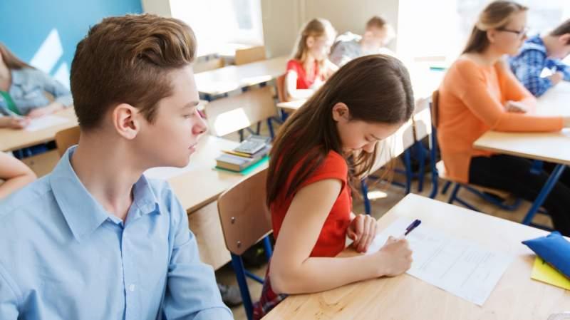 Perle Evaluarea Națională 2018 la Limba Rom&acirc;nă! Citești și nu crezi!