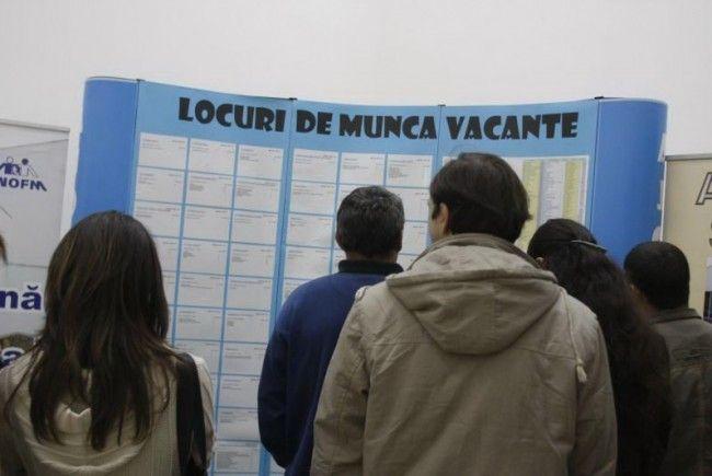 LOCURI DE MUNCĂ: 13 state europene au peste 1.100 de posturi vacante, cele mai multe, &icirc;n Olanda, Austria şi Germania