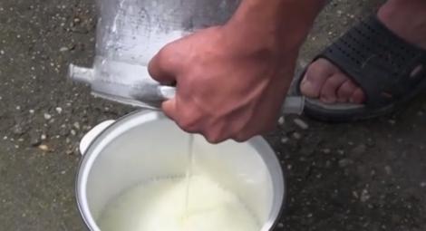 Un fermier român merge din casă în casă și donează mii de litri de lapte! Motivul?