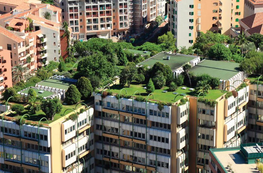 Cele mai importante beneficii ale acoperișului verde!