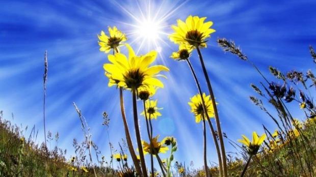 VREMEA &icirc;ntoarce foia! C&acirc;nd se &icirc;ntorc ploile, după valul de caniculă și aerul irespirabil