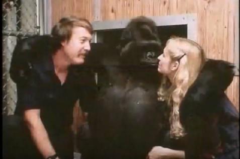 A MURIT la 46 de ani. Gorila KOKO putea să comunice prin limbajul semnelor și avea prieteni celebri