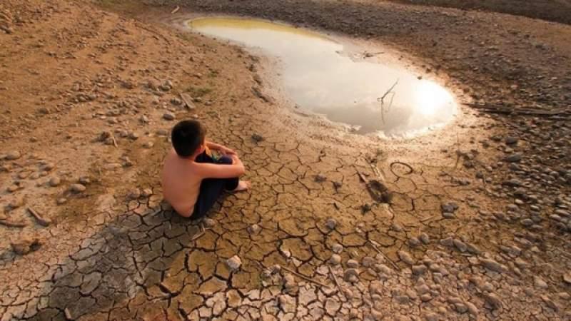 CALAMITATE agricolă &icirc;ntr-o țară din Europa! Este cea mai gravă din ultimii 10 ani! La c&acirc;t sunt estimate pierderile