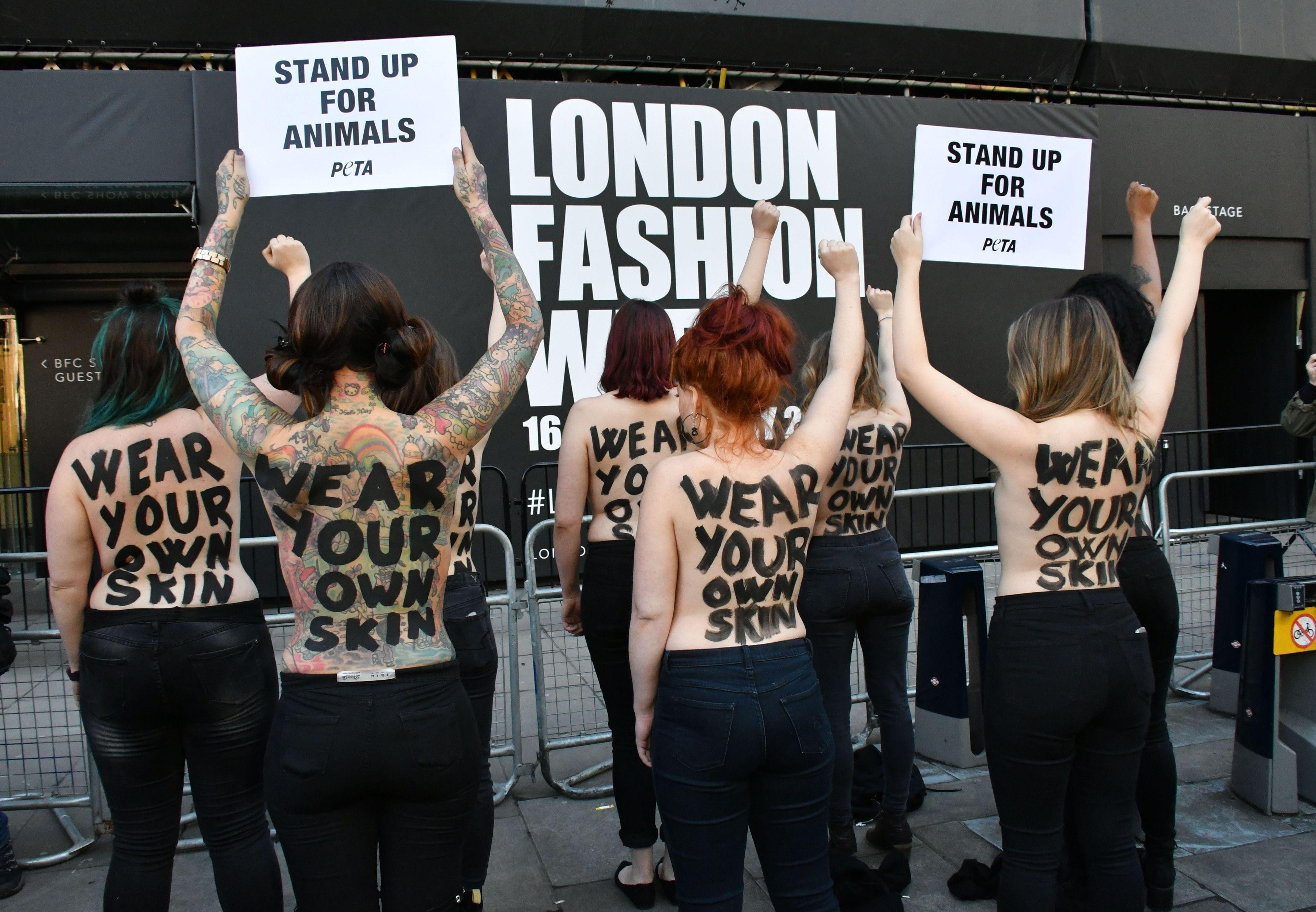 Veganii ATACĂ! Situația a degenerat at&acirc;t de mult &icirc;nc&acirc;t se cere INTERVENȚIA POLIȚIEI