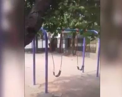 Scene HORROR &icirc;ntr-un părculeț de copii! Părinții au &icirc;nlemnit c&acirc;nd au văzut ce se &icirc;nt&acirc;mplă cu leagănul