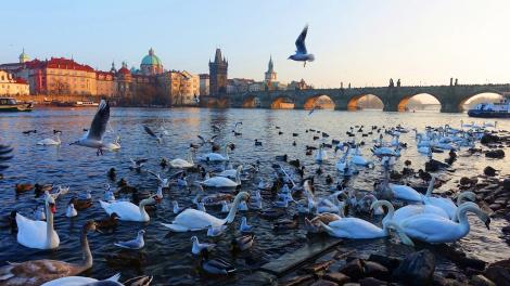 Praga, descoperă orașul gotic al Europei