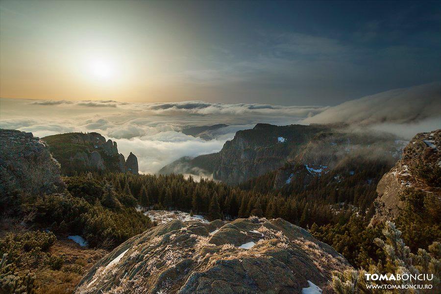 Au ascultat GPS-ul și au ajuns &icirc;n mijlocul SĂLBĂTICIEI! Cum au fost găsite două familii cu copii mici