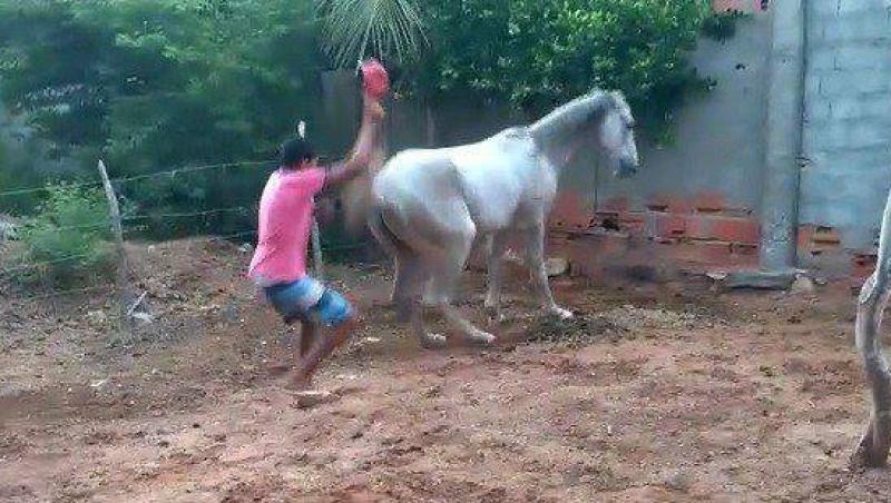 Acțiune și reacțiune! Ce a pățit bărbatul din imagini, după ce a încercat să-și lovească propriul cal (VIDEO)