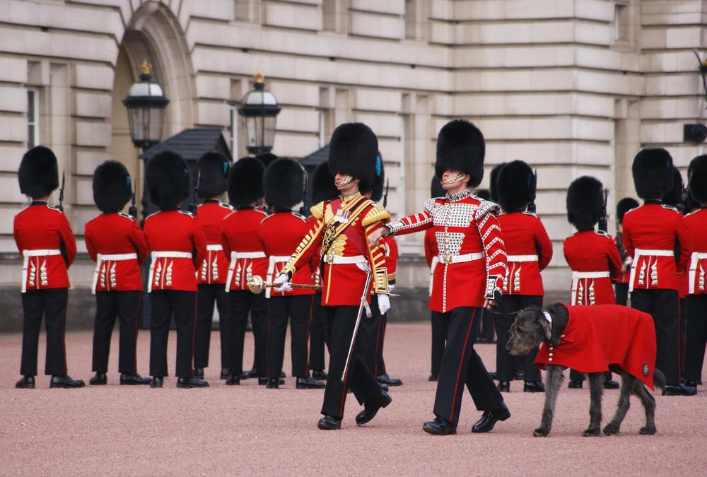Cele 4 hobbyuri regale pe care le poți practica și tu