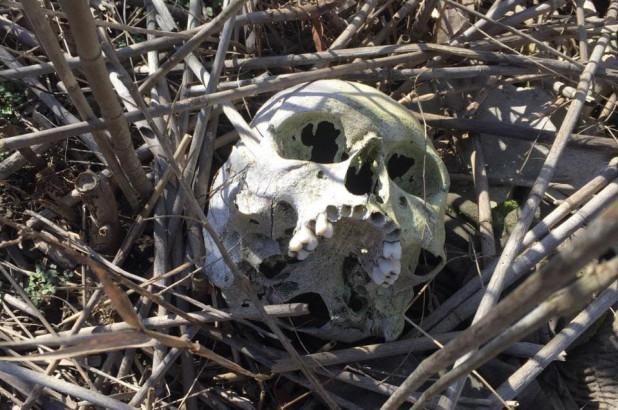 A trăit șocul vieții! O femeie a călcat pe un craniu după ce a fost implicată &icirc;ntr-un accident rutier