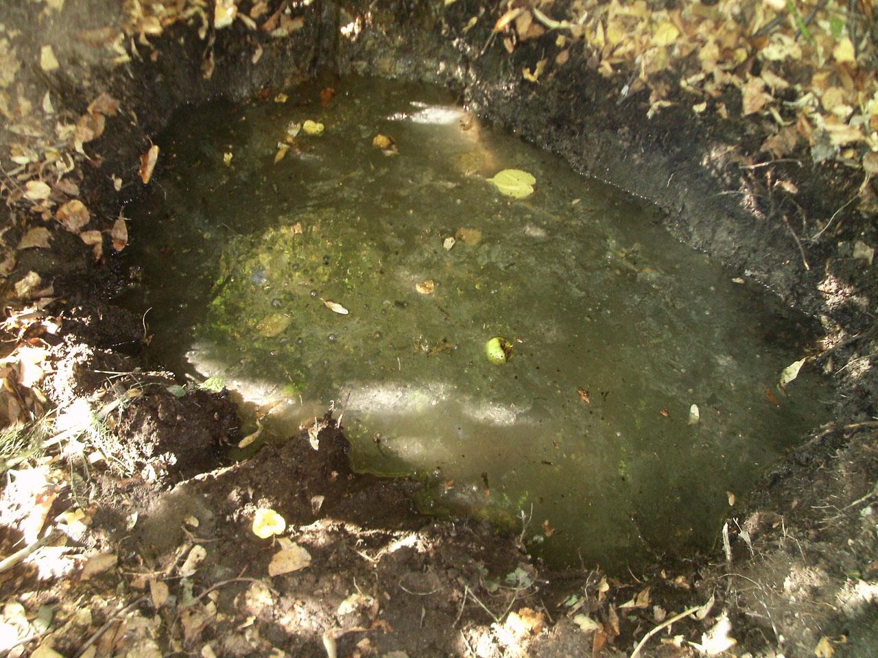 Doamne, ce tragedie! Doi copii au murit &icirc;necați &icirc;ntr-o groapă plină cu apă: "Cadavrele pluteau c&acirc;nd le-am găsit"